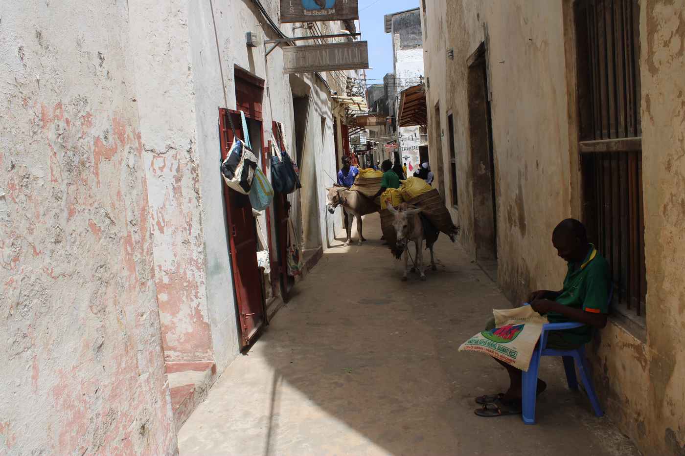 Vieille ville de Lamu
