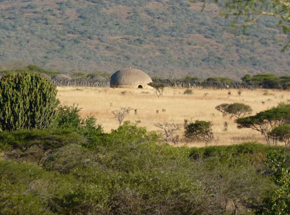 uMgungundlovu — capitale du roi Dingane
